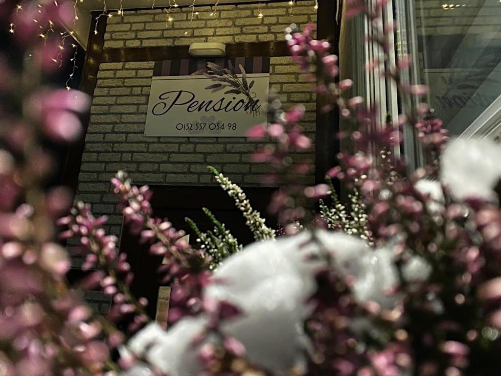 Pension Lavendel Harztor Exterior foto